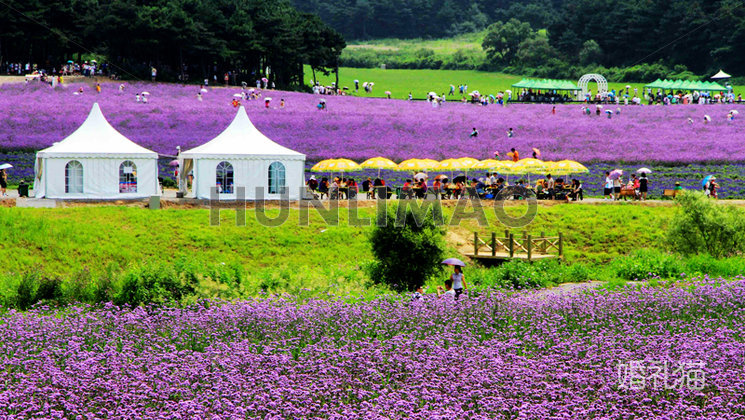 紫烟薰衣草庄园-