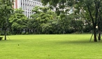 粤江春酒楼（龙华店）-