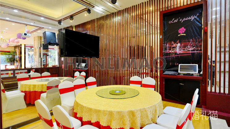 米卢酒店-米卢酒家-宴会大厅-特写2