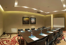 林芝保利雅途酒店-