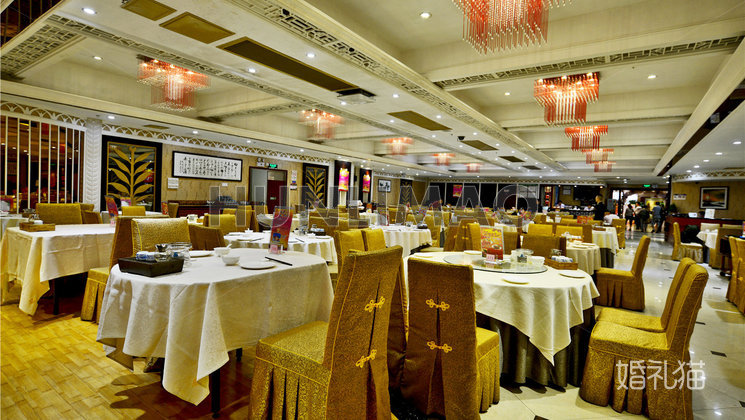 环东金阁酒家-环东金阁-宴会大厅-全场1