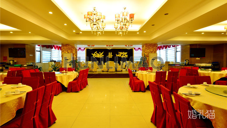 佰味庄园酒楼-百味庄园酒楼-宴会大厅-全场1