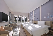 英德奥园希尔顿逸林度假酒店-