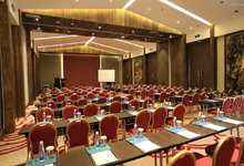 林芝保利雅途酒店-