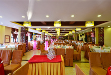 海宝酒家-海宝酒店-宴会大厅-全场