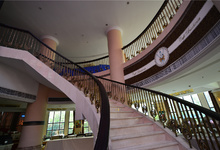 南峰酒店-南峰酒店-紫荆阁厅-特写1