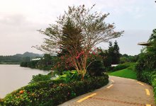 木瑶里音乐餐厅-