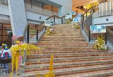 深圳好日子皇冠假日酒店-