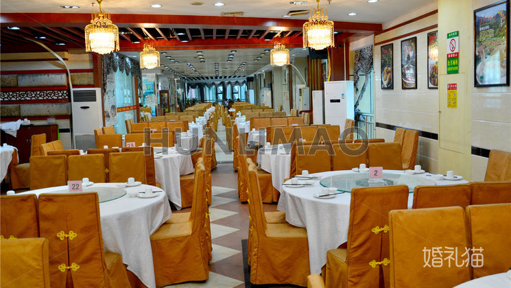 唐和酒家-唐和酒家-宴会大厅-全场