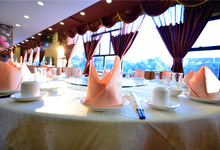 海宝酒家-海宝酒店-宴会大厅-特写2