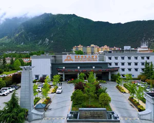 博泰林芝大酒店