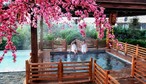 绿中海温泉假日酒店-