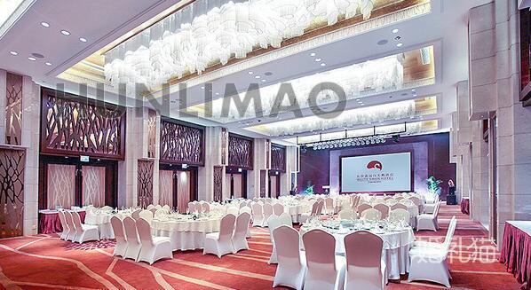 鑫远白天鹅酒店-