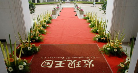 htl_56c5d491b97d4b51aaa07bd2a2006bb5.jpg
