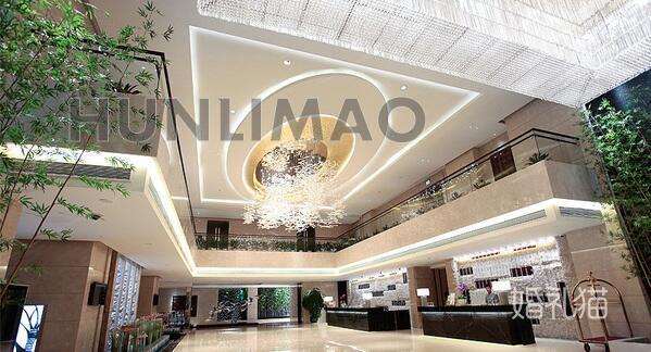 鑫远白天鹅酒店-