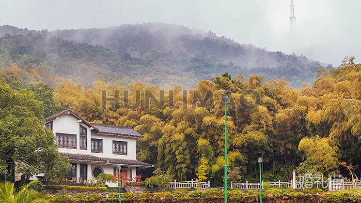 青山湾里餐厅-