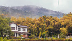 青山湾里餐厅-