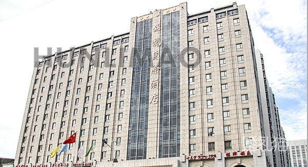 天津锦龙国际酒店-
